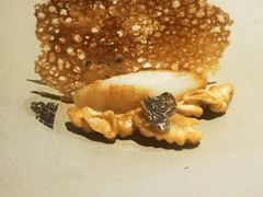 黑松露煎淮山-无味舒食(思南公馆店)