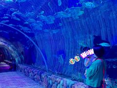 -华夏文旅海洋公园