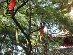 -吴山景区