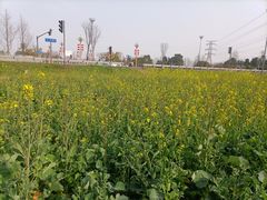 -桤木河湿地公园