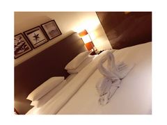 -香港尖沙咀凯悦酒店