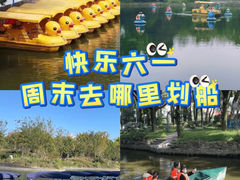 -上海共青森林公园