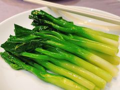 -九朝会昆曲·宴(望京店)