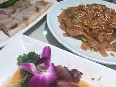 -南枝记