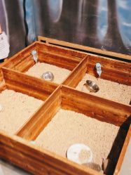 -酷嗒动物文化乐园(cutezoo西溪乐天城店)