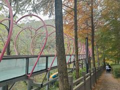 -千岛湖-欢乐水世界