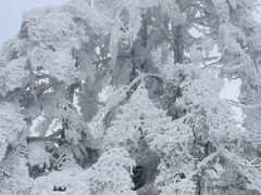 -瓦屋山景区