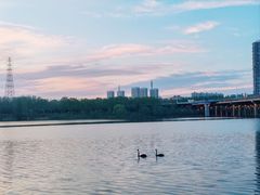 -长白岛森林公园