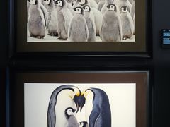 -罗红摄影艺术馆