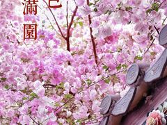 -深圳国际园林花卉博览园