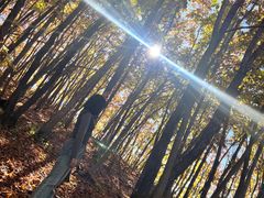 -帽儿山国家森林公园