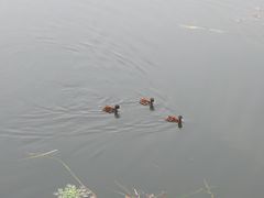 -杭州浪浪浪水公园