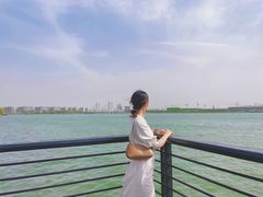 -郑东新区龙湖公共艺术中心