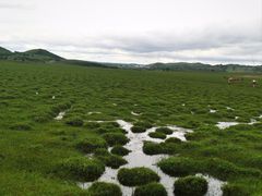 -塞罕坝国家级自然保护区