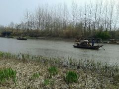 android_upload_pic-溱湖国家湿地公园