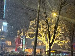 -香猪坊(五道口店)