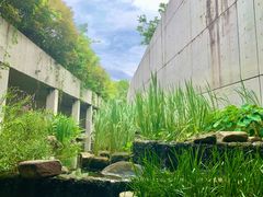 -中国湿地博物馆