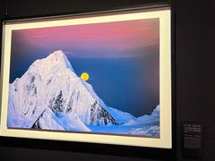 -罗红摄影艺术馆