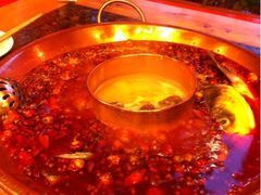 鱼头-老码头火锅(玉林店)