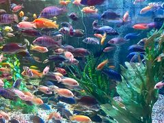 -正佳极地海洋世界