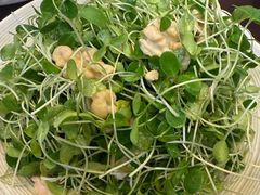 -民族饭荘(新华大街店)