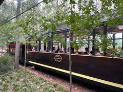 -合肥滨湖国家森林公园