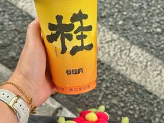 -莓超疯(百源店)