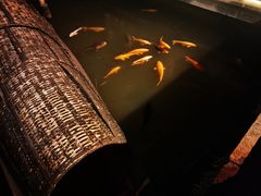 -绍兴饭店知遇楼(环山路店)