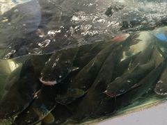 -湄公河秘制烤鱼(西双十贰城商业中心店)