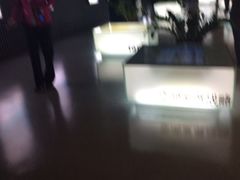 iphone_upload_pic-天津市规划展览馆