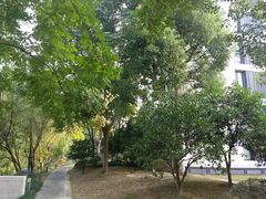 -西溪天堂·悦居