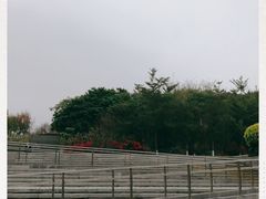 -河源客家文化公园
