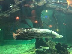 -华夏文旅海洋公园