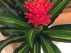 -白金汉爵大酒店(相城店)