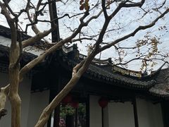 -上海醉白池公园
