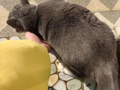 -云南滇池花园国际大酒店温泉