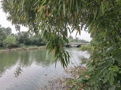-泗洪洪泽湖湿地景区