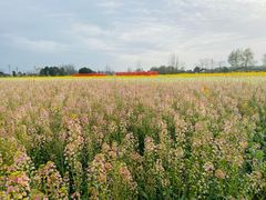 -中国天府农业博览园