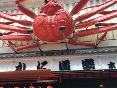 -蟹道乐(道顿堀本店)