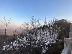 -天津盘山风景名胜区