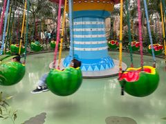 -南宫五洲植物乐园