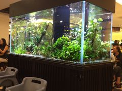 大堂-大家乐(广州天河城六楼店)