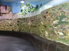 -多彩贵州城极地海洋世界