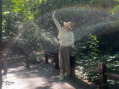 -国家植物园南园