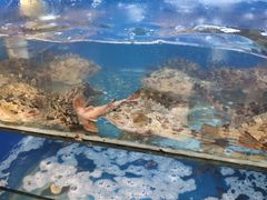 -开鑫鱼厂·宁波海鲜(前程智慧城店)