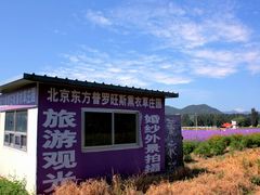 门面-北京东方普罗旺斯薰衣草庄园