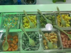 -Salud撒露欧洲冻酸奶(五道口购物中心店)