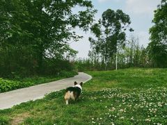 -白鹭湾湿地公园