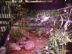 -范设计花园餐酒咖·中西餐·咖啡厅·酒馆