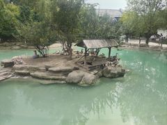 -长春农业博览园